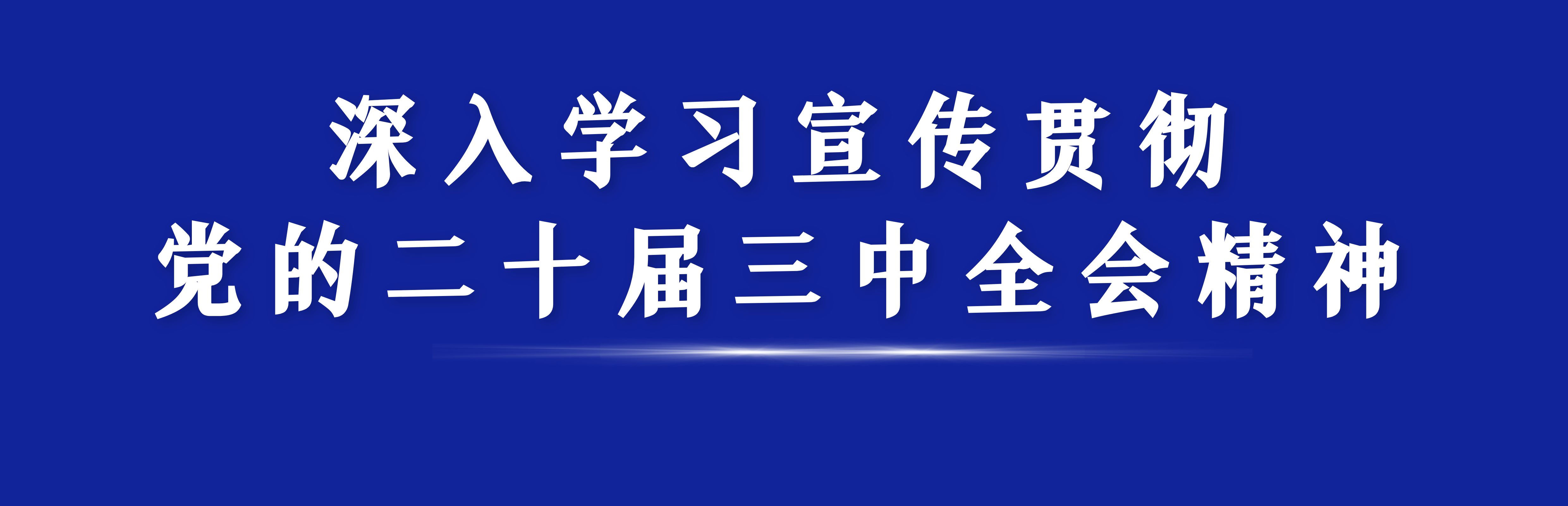 二十届三中全会